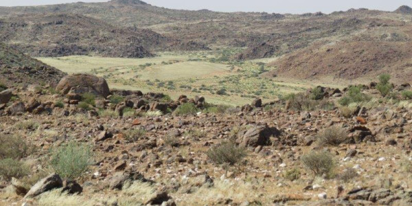 Want to relax on a Game Farm on the border between SA and Namibia?