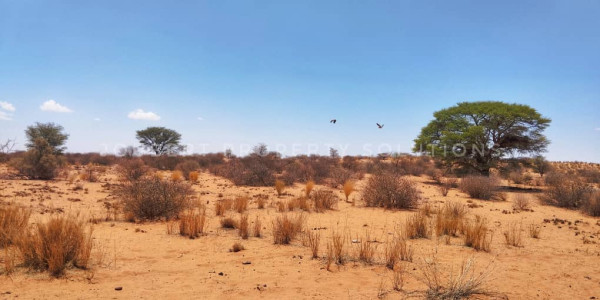 EXCEPTIONAL KALAHARI FARM FOR SALE IN NAMIBIA - HARDAP DISTRICT