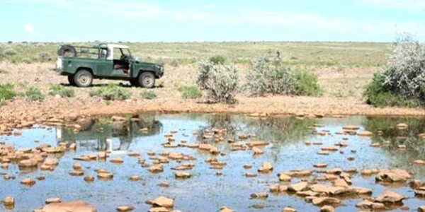 Farm for Sale near Keetmanshoop