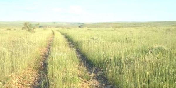 Farm for Sale near Keetmanshoop