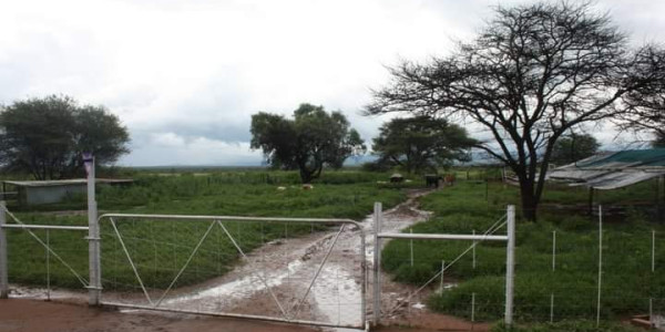 Farm for Sale - Otavi Kombat Region