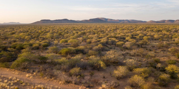 A MUST-HAVE CATTLE FARM FOR SALE IN OMARURU AREA: