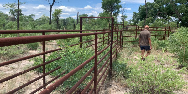 Khaudum Farm For Sale