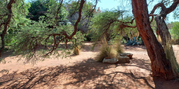 Smallholding for sale - Otjiwarongo