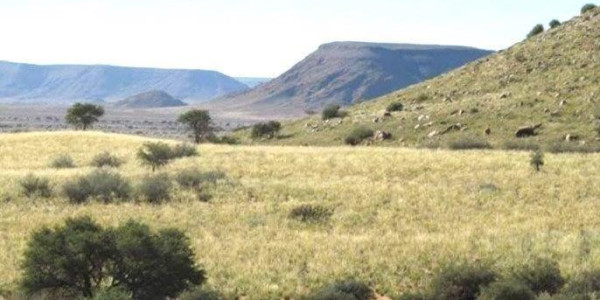 Beautiful Farm in Southern Namibia