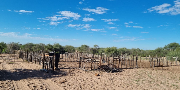 CATTLE FARM FOR SALE IN GOBABIS DISTRICT: BUITEPOS