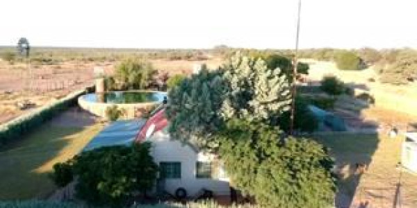 CATTLE FARM FOR SALE IN GOBABIS DISTRICT