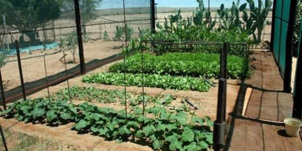 Farm for Sale near Keetmanshoop