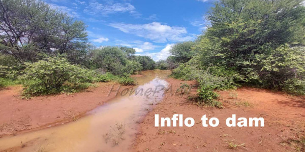 Otjozondjupa Region, Otjiwarongo area:  A Horse Lovers Dream Hideaway