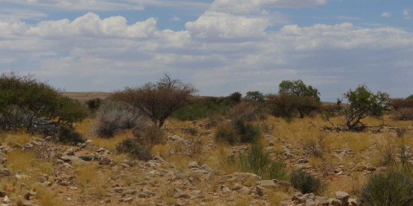 Farm for Sale near Keetmanshoop