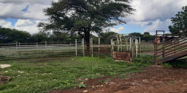 Farm for Sale - Otavi Kombat Region