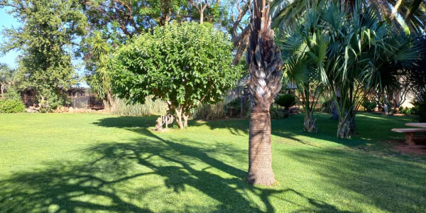 Smallholding for sale - Otjiwarongo