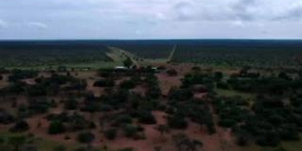 CATTLE FARM FOR SALE IN GOBABIS DISTRICT