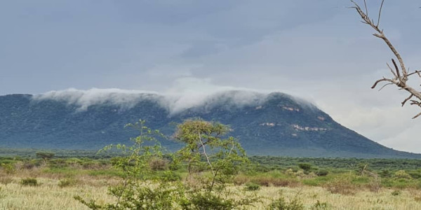 Irrigation Farm for Sale in Otavi Region – Ideal for Foreign Investors