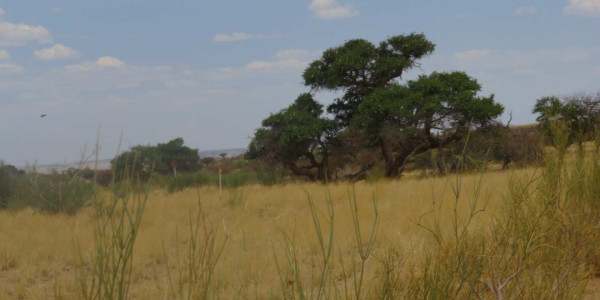 Farm for Sale near Keetmanshoop