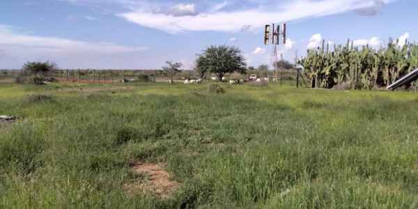 FARM FOR SALE  in the HARDAP REGION (16515ha)