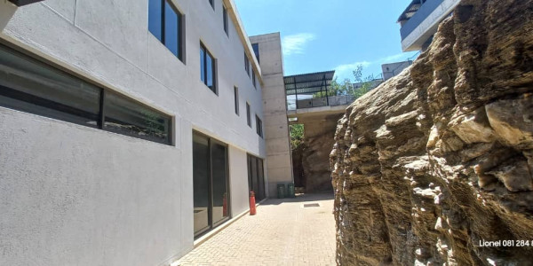 AAA Grade Office Space To Let (250m²)