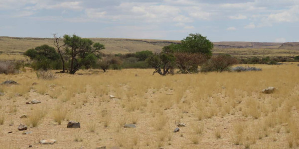 Farm for Sale near Keetmanshoop