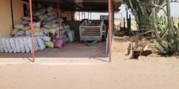 CATTLE FARM FOR SALE IN GOBABIS DISTRICT