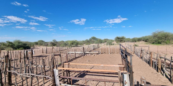 CATTLE FARM FOR SALE IN GOBABIS DISTRICT: BUITEPOS