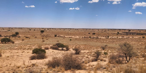 EXCEPTIONAL KALAHARI FARM FOR SALE IN NAMIBIA - HARDAP DISTRICT