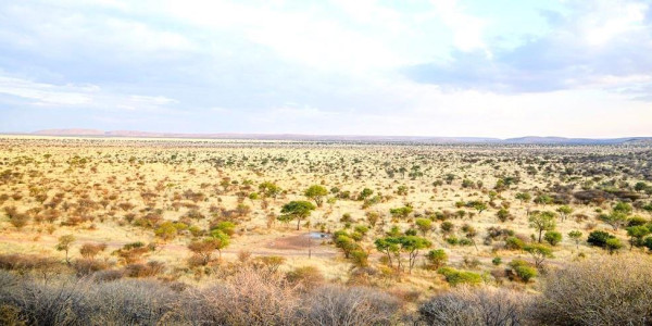 Farm for Sale near Dordabis