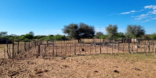 CATTLE FARM FOR SALE IN GOBABIS DISTRICT: BUITEPOS