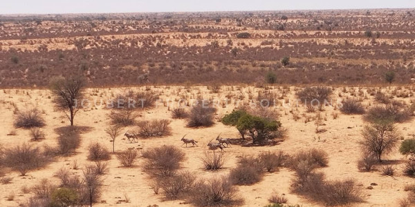 EXCEPTIONAL KALAHARI FARM FOR SALE IN NAMIBIA - HARDAP DISTRICT