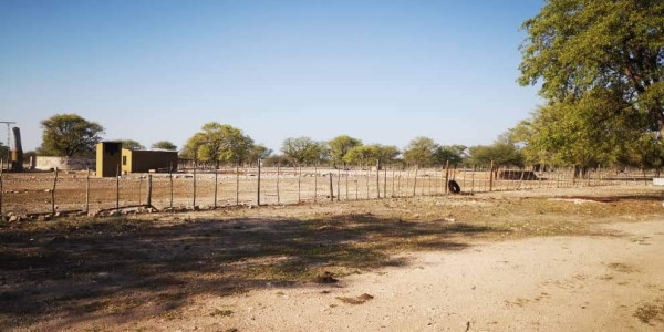 COMMERCIAL FARM FOR SALE IN TSUMEB DISTRICT