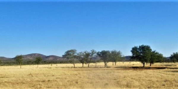 Farm for Sale near Otavi