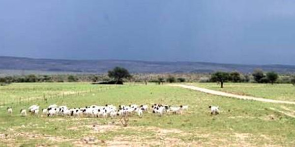 Farm for Sale near Keetmanshoop