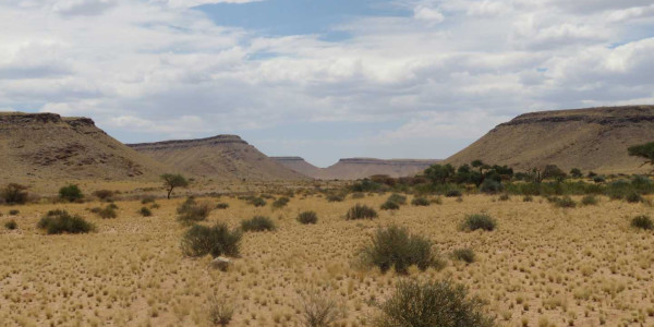 Farm for Sale near Keetmanshoop