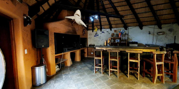 Entertainer's Delight: Thatch Room with Braai & Bar!