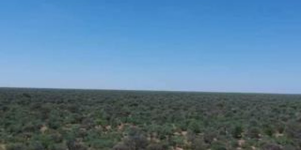 CATTLE FARM FOR SALE IN GOBABIS DISTRICT