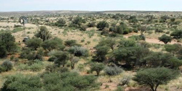 Farm for Sale near Keetmanshoop