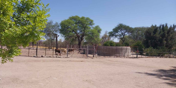 Cattle Farm for sale near Omaruru and Kalkfeld