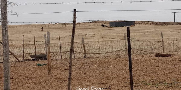 Swakopmund River Plot with Spectacular Moon Landscape Views