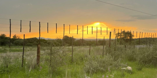 Ozombanda Nature Estate Association (ONEA)