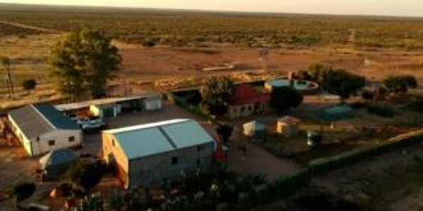 CATTLE FARM FOR SALE IN GOBABIS DISTRICT