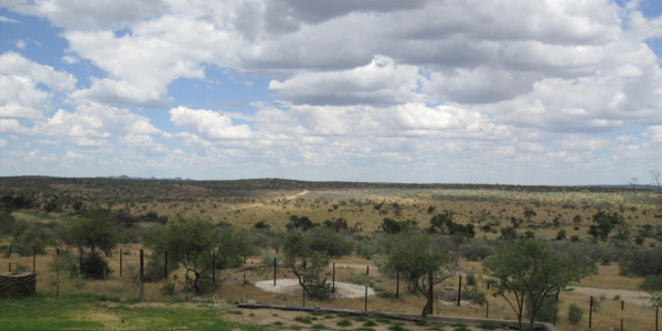 WELL ESTABLISHED BEAUTIFUL GAME FARM FOR SALE N$ 65 000 000.00 PTY (LTD)