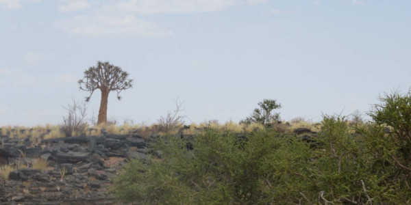 Farm for Sale near Keetmanshoop