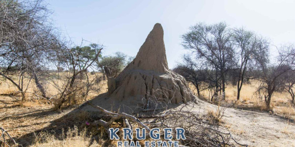 Agricultural smallholding situated approximate 20 km North-East of Omaruru on the banks of the Omaruru river