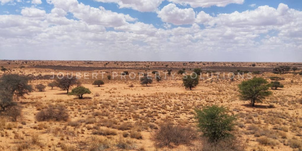 EXCEPTIONAL KALAHARI FARM FOR SALE IN NAMIBIA - HARDAP DISTRICT