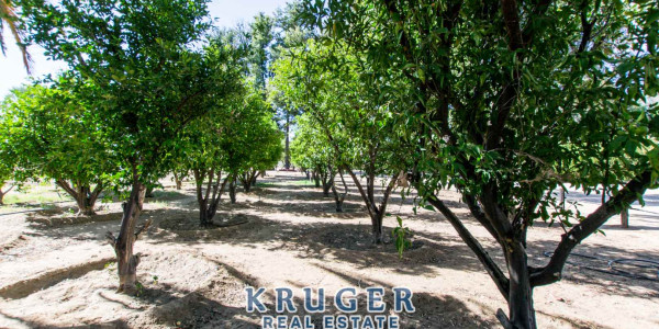 Agricultural smallholding situated approximate 20 km North-East of Omaruru on the banks of the Omaruru river