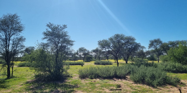 CATTLE FARM FOR SALE IN GOBABIS DISTRICT: BUITEPOS