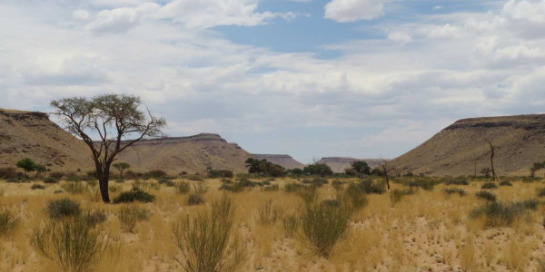 Farm for Sale near Keetmanshoop