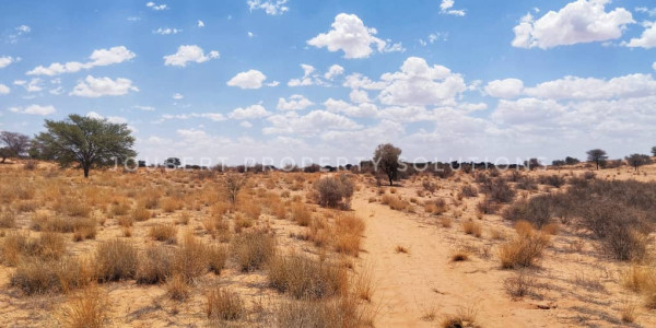 EXCEPTIONAL KALAHARI FARM FOR SALE IN NAMIBIA - HARDAP DISTRICT