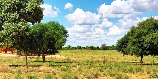 Farm for Sale near Otavi