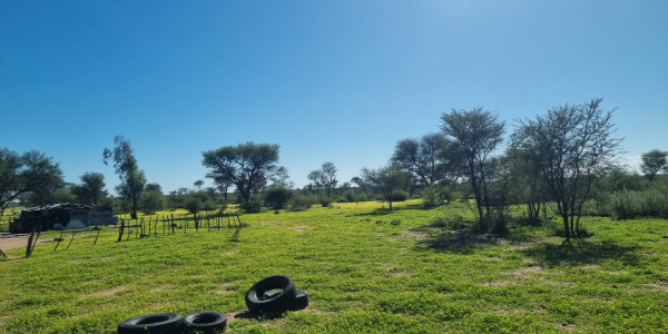 CATTLE FARM FOR SALE IN GOBABIS DISTRICT: BUITEPOS