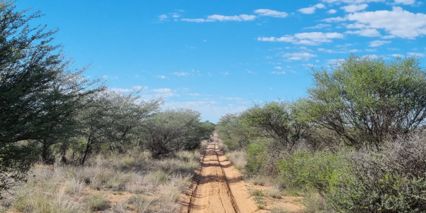 CATTLE FARM FOR SALE IN GOBABIS DISTRICT: BUITEPOS